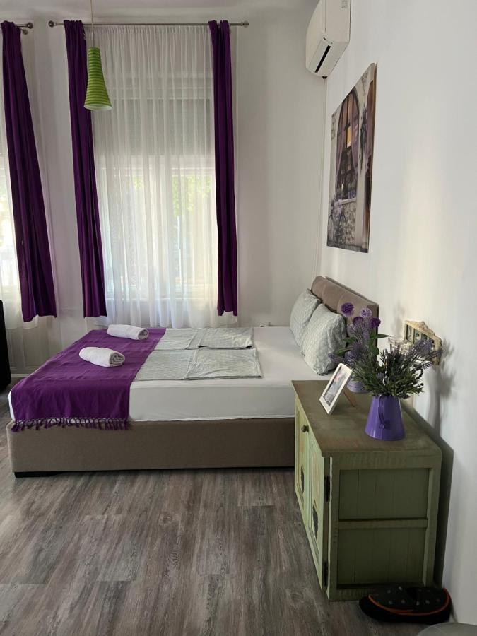 Center Cosy Vintage Apartment Novi Sad Exterior photo